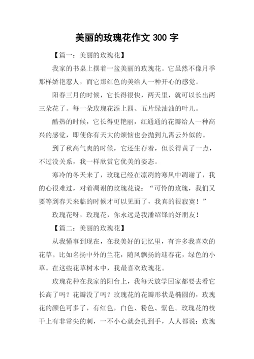 美丽的玫瑰花作文300字.docx