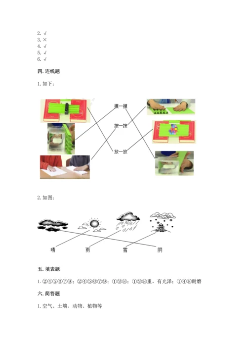 教科版科学二年级上册《期末测试卷》含答案【夺分金卷】.docx