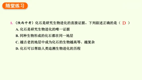 7.3.2生物进化的历程-八年级生物人教版下学期同步精品课件(共34张PPT)