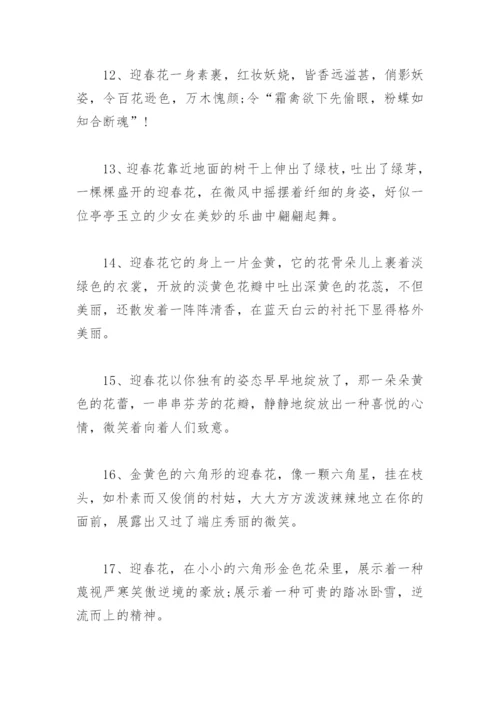 描写迎春花好句好段(精选4篇).docx