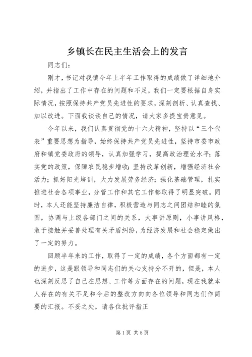 乡镇长在民主生活会上的讲话.docx