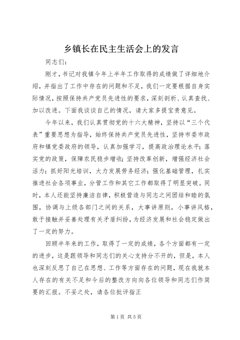 乡镇长在民主生活会上的讲话.docx