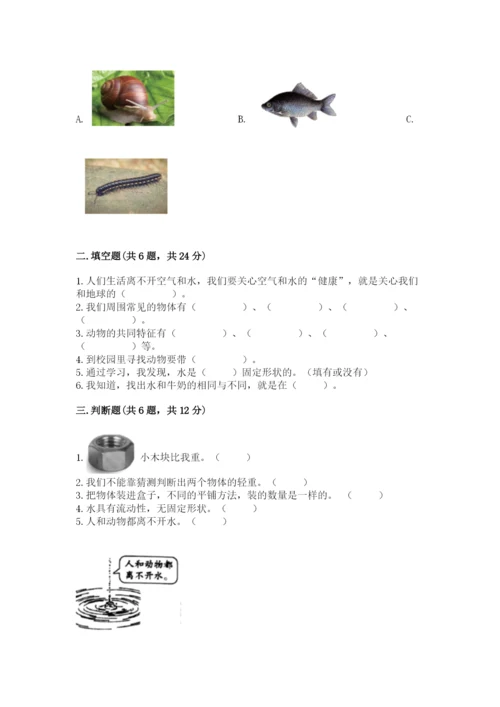教科版一年级下册科学期末测试卷精品（达标题）.docx