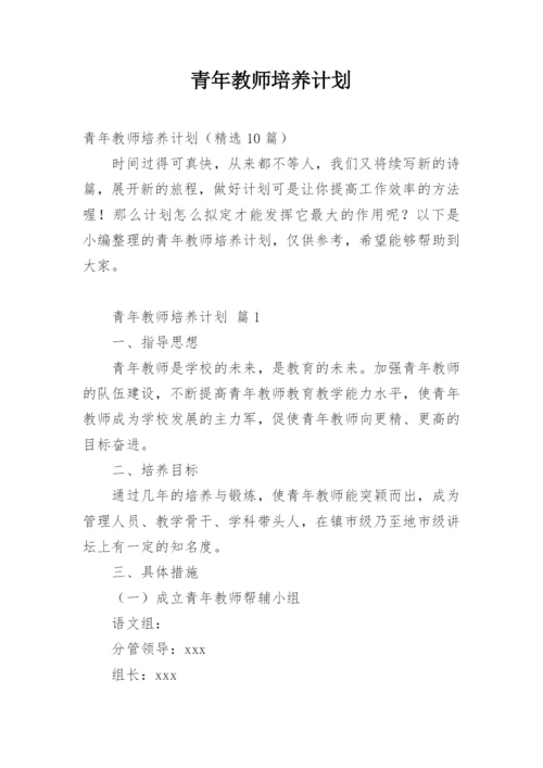 青年教师培养计划.docx