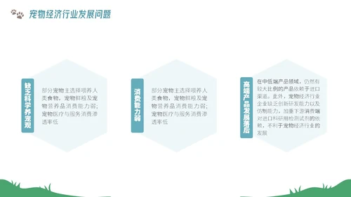 插画风宠物经济行业前景分析报告PPT