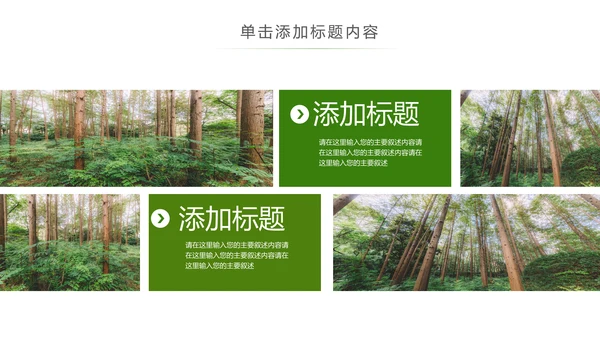 原始森林湿地植树造林森林环保PPT模板