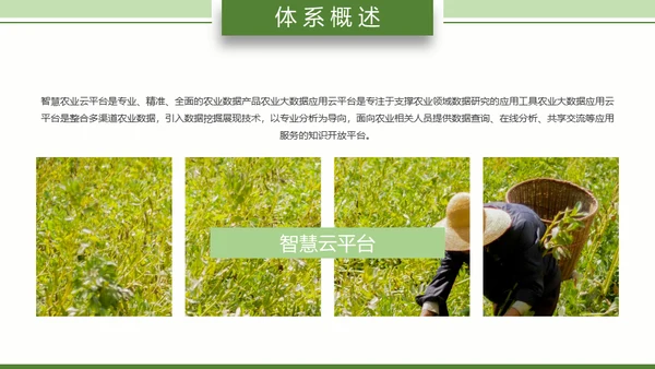 智慧农业耕地粮田通用PPT模板