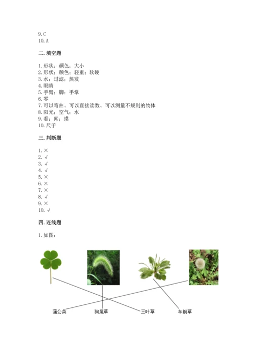 教科版一年级上册科学期末测试卷完美版.docx