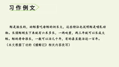 部编版 五年级语文上册第五单元习作例文 《鲸》（课件）