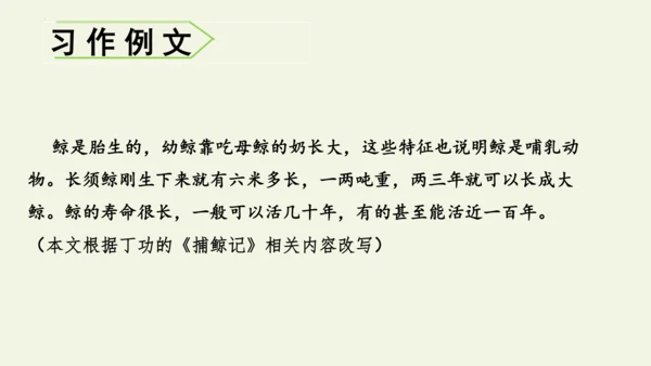 部编版 五年级语文上册第五单元习作例文 《鲸》（课件）
