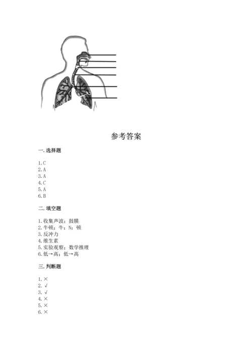 教科版科学四年级上册期末测试卷（网校专用）.docx