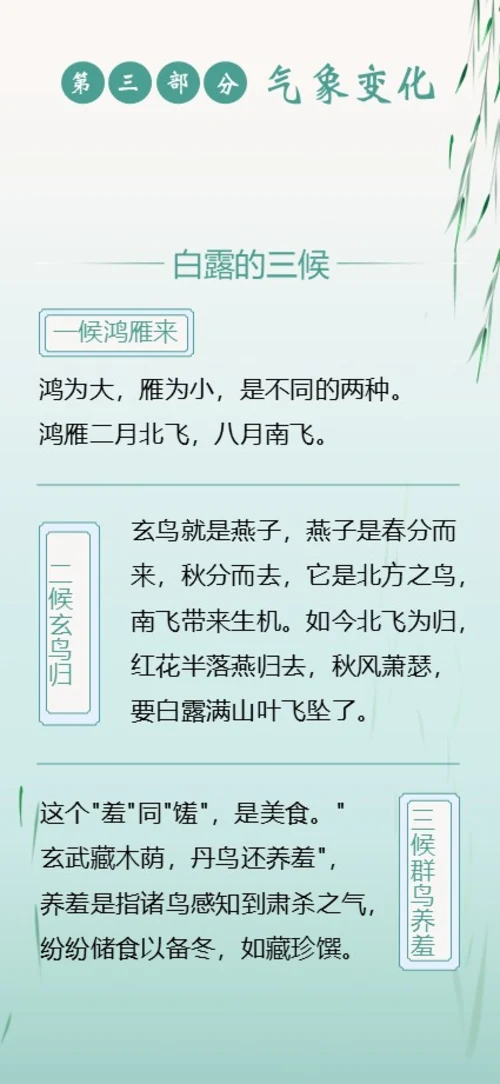 白露节气二十四节气知识手机竖版PPT课件