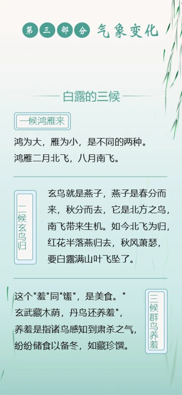 白露节气二十四节气知识手机竖版PPT课件