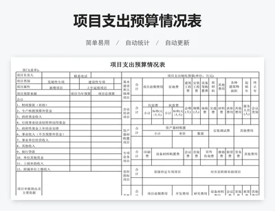 项目支出预算情况表