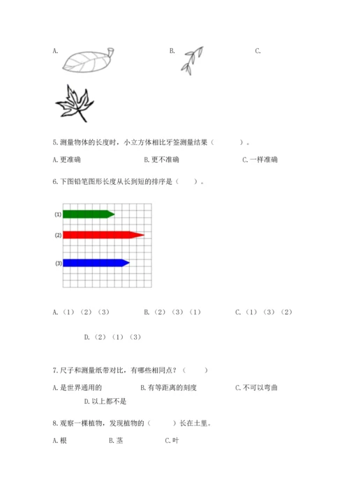 教科版一年级上册科学期末测试卷及完整答案（网校专用）.docx