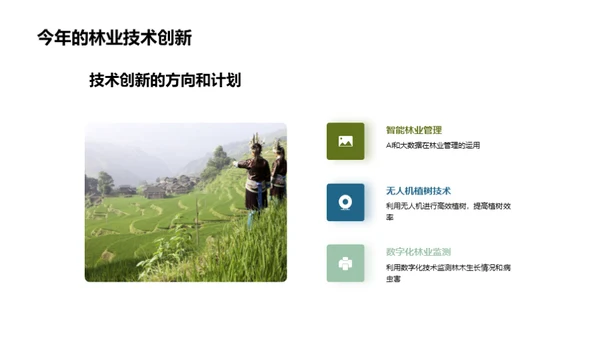 林业进步路