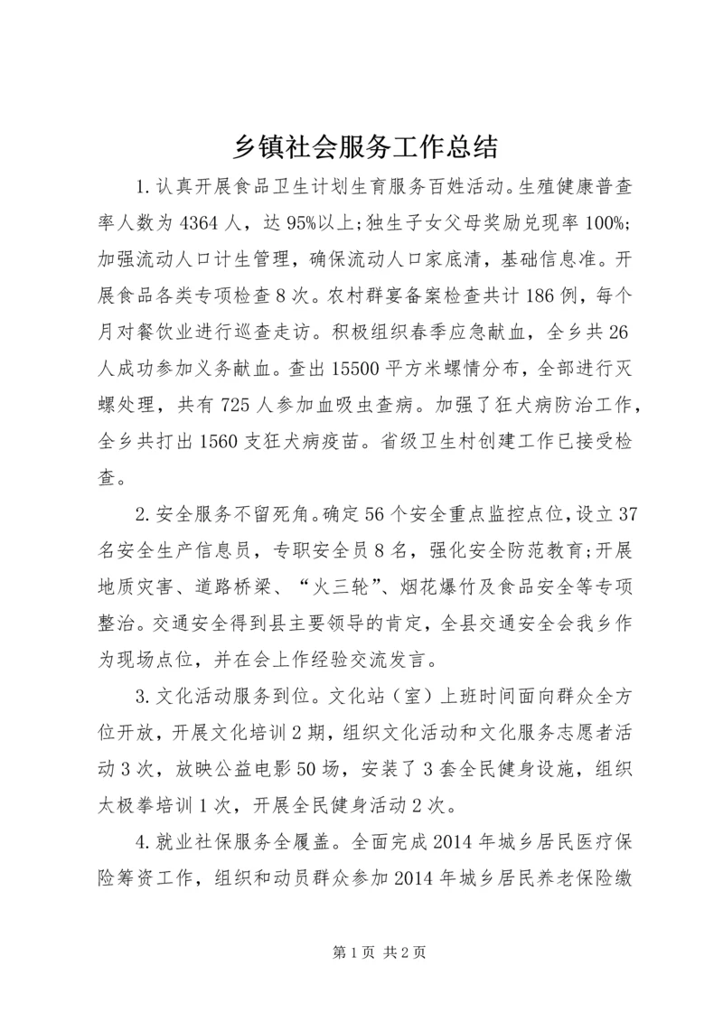 乡镇社会服务工作总结.docx