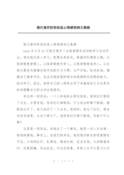 银行案件防控优选心得感悟例文集锦.docx