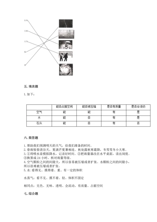 教科版三年级上册科学期末测试卷带答案（新）.docx