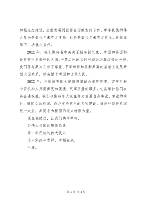 刘晓明在华侨华人新春招待会讲话.docx