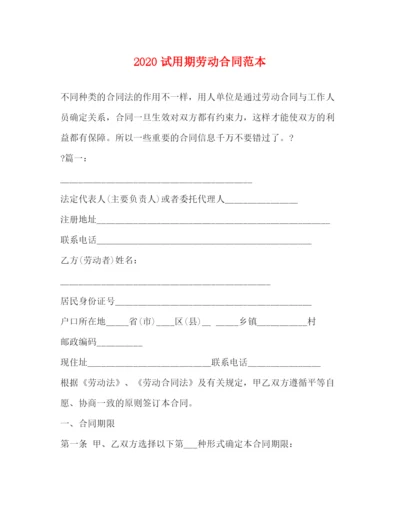 2023年试用期劳动合同范本2).docx