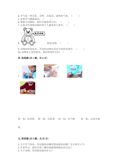 教科版一年级下册科学期末测试卷（网校专用）word版.docx