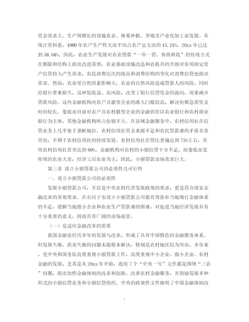 精编之小贷公司商业计划书.docx