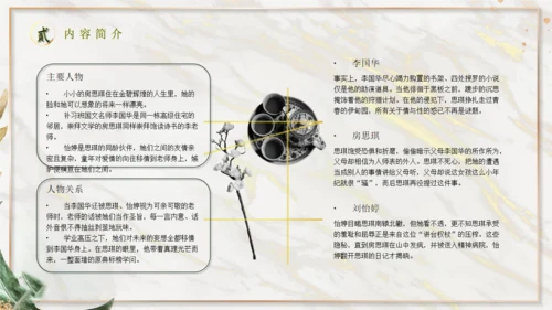 《房思琪的初恋乐园》神鹿读书分享通用PPT