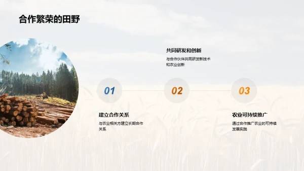 农业项目投资策略