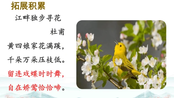 15 《古诗二首》（第二课时）——《绝句》-二年级下册统编版