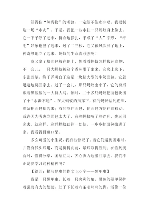 描写昆虫的作文500字.docx