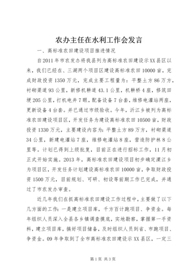 农办主任在水利工作会发言.docx