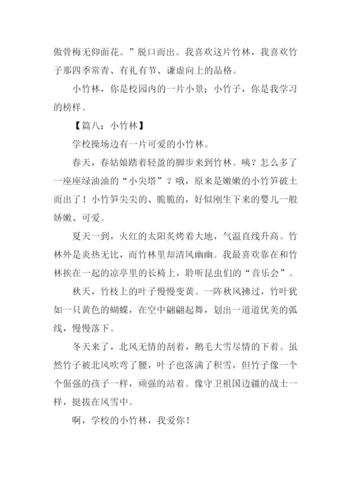 小竹林作文0.docx