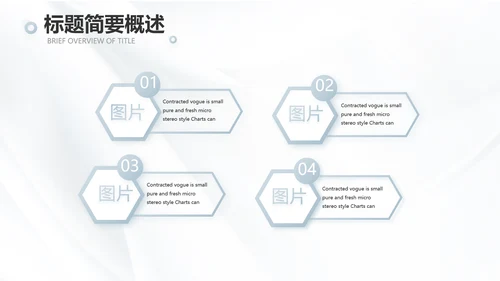 公司品牌介绍宣传策划方案工作总结动态PPT