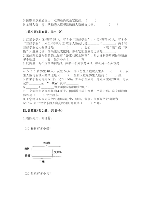 麻阳苗族自治县六年级下册数学期末测试卷（名师推荐）.docx