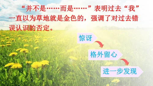 第16课《金色的草地》（第二课时）课件