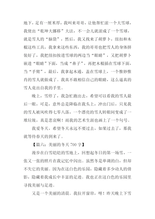 美丽的冬天作文.docx