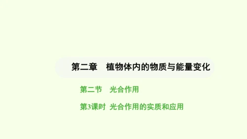 第三单元-第二章-第二节-光合作用-第3课时 光合作用的实质和应用课件-2024-2025学年七年级