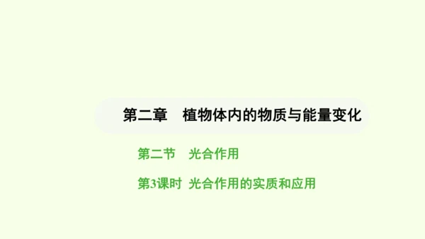 第三单元-第二章-第二节-光合作用-第3课时 光合作用的实质和应用课件-2024-2025学年七年级