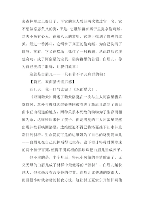 双面猎犬读后感.docx