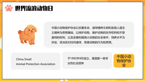 关爱流浪动物PPT模板