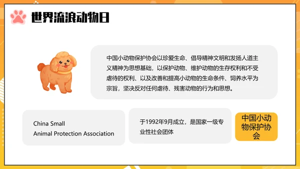 关爱流浪动物PPT模板