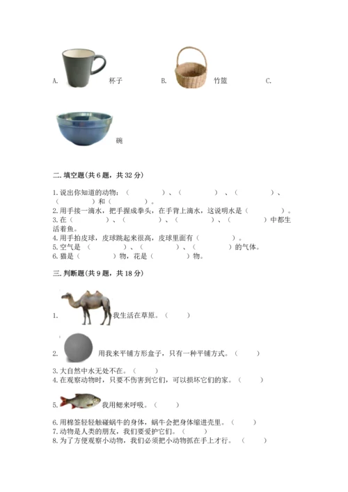 教科版一年级下册科学期末测试卷【考点提分】.docx