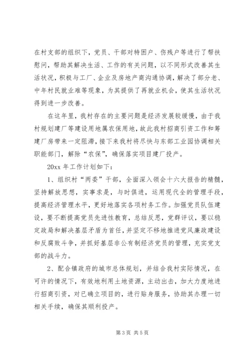 村工作总结及工作计划.docx
