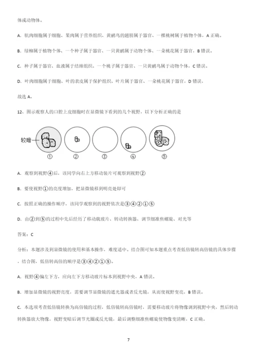 通用版初中生物七年级上册第二单元生物体的结构层次考点总结-(2).docx