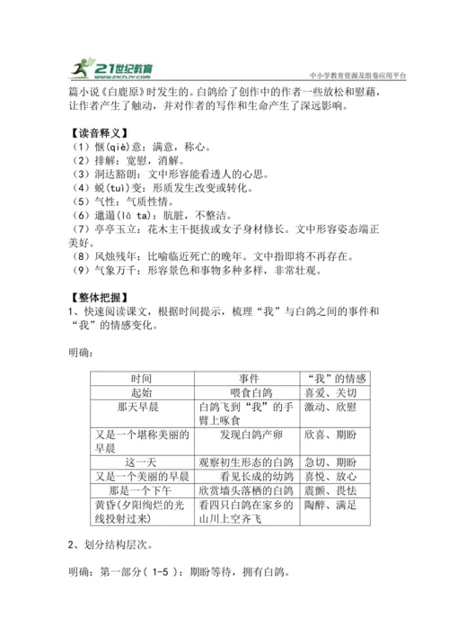 第18课《我的白鸽》教学设计