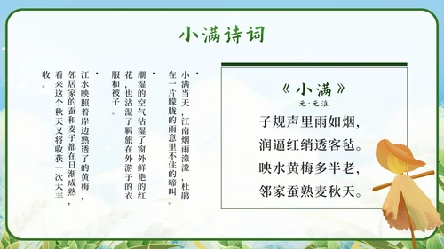 绿色清新国潮二十四节气之小满带内容PPT模板