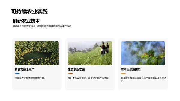 农业项目进展与展望