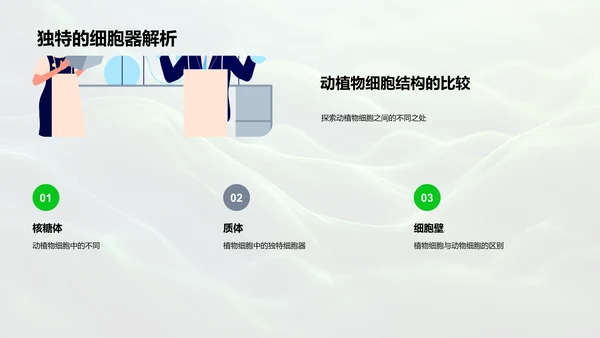 细胞学基础解读