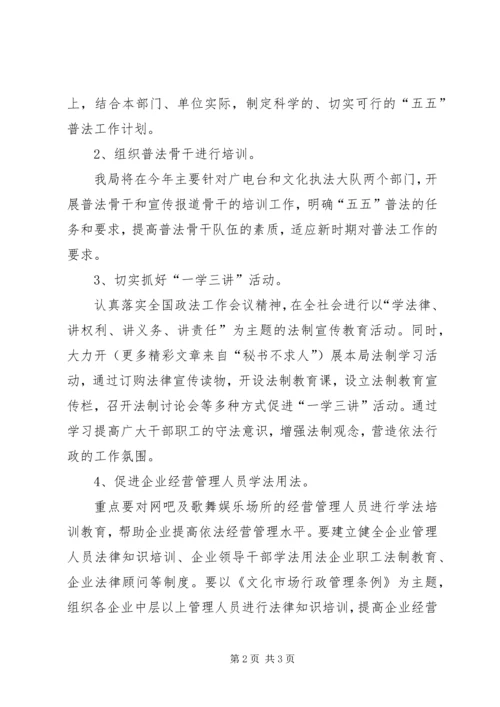 文化局二00六年普法工作计划.docx
